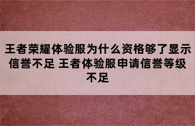 王者荣耀体验服为什么资格够了显示信誉不足 王者体验服申请信誉等级不足